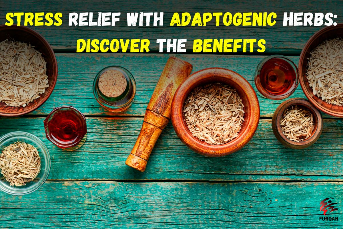 You are currently viewing The Benefits of Adaptogenic Herbs For Stress Management